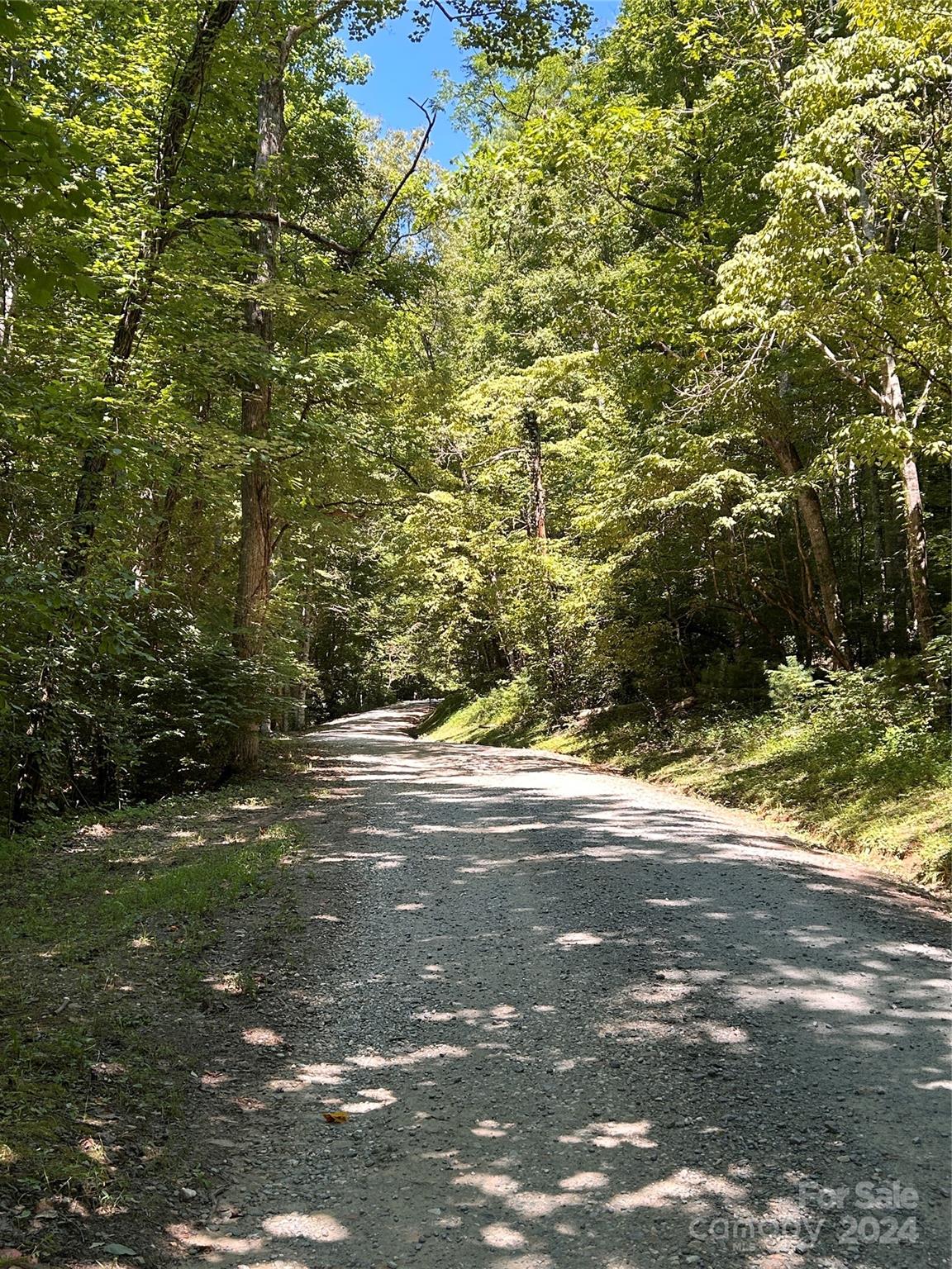 Lot 41 Glory Mountain Road, Unit 41 Bryson City, NC 28713 - Photo 11 of 13 a view of a yard with a trees