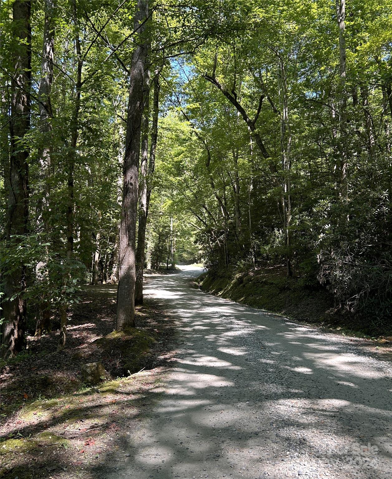 Lot 41 Glory Mountain Road, Unit 41 Bryson City, NC 28713 - Photo 12 of 13 a view of a tree with a yard