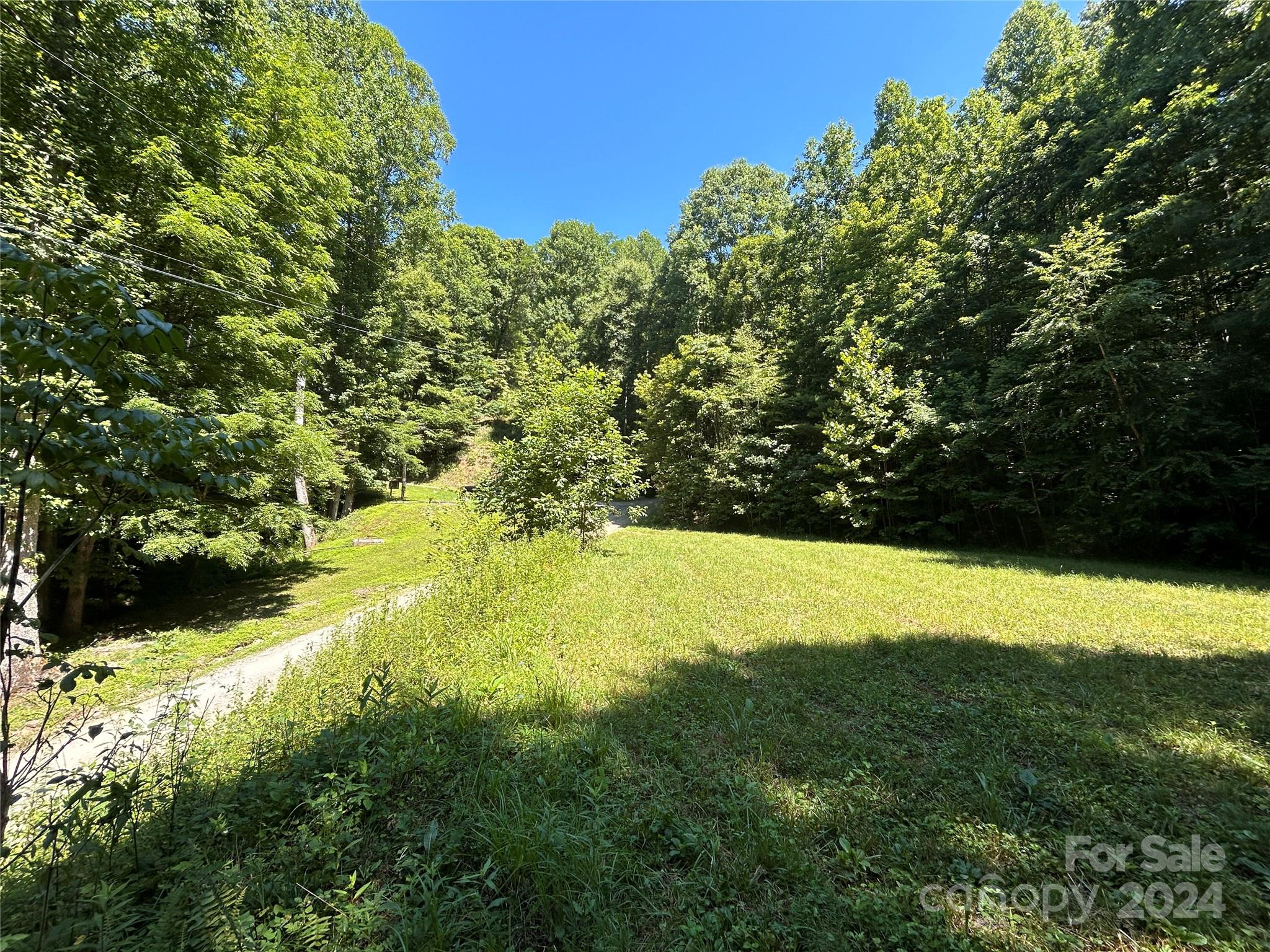 Lot 41 Glory Mountain Road, Unit 41 Bryson City, NC 28713 - Photo 4 of 13 a view of outdoor space and yard