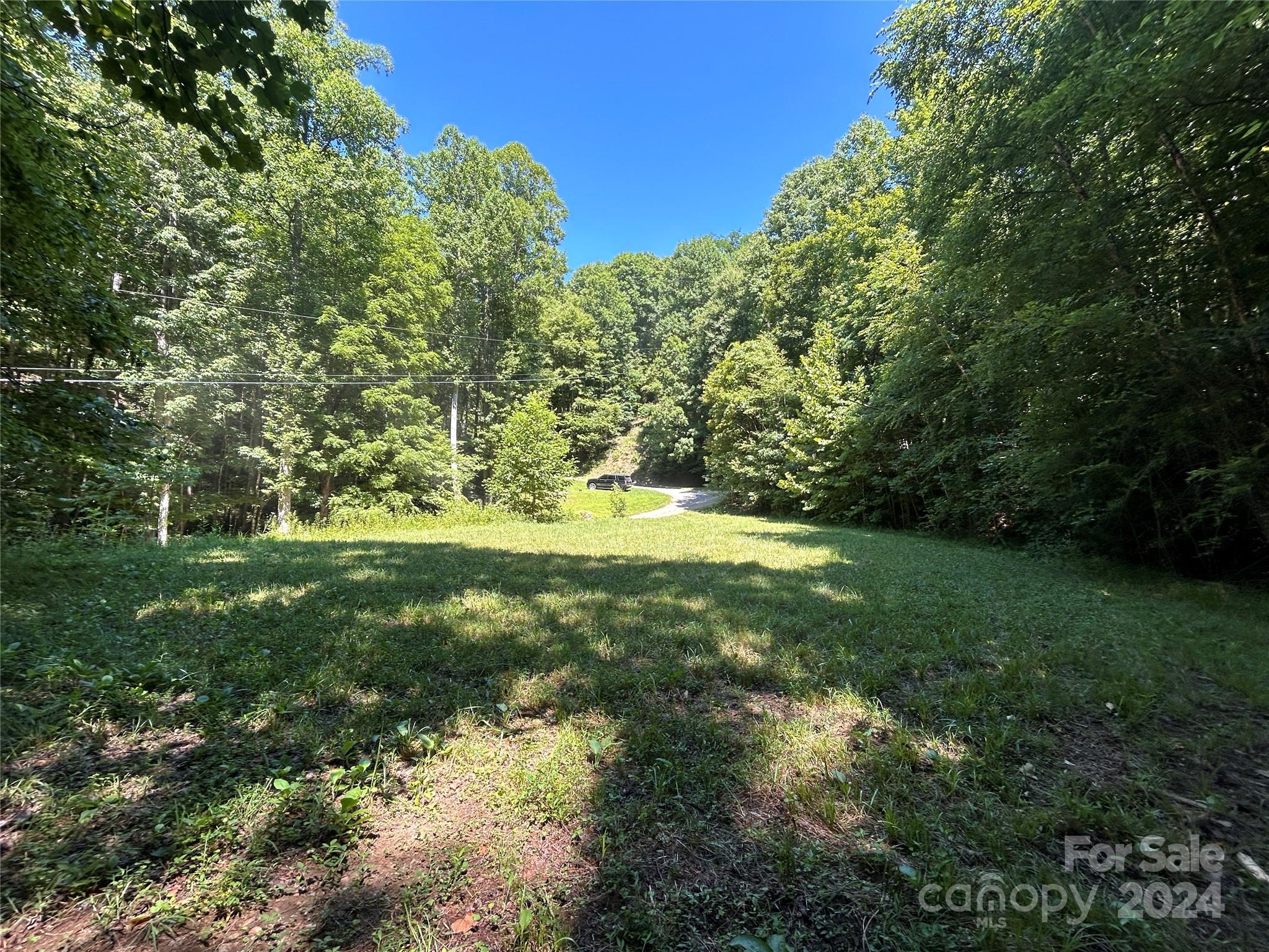 Lot 41 Glory Mountain Road, Unit 41 Bryson City, NC 28713 - Photo 5 of 13 a view of yard with green space