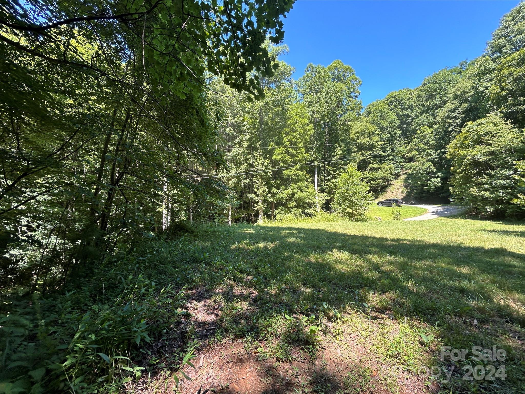 Lot 41 Glory Mountain Road, Unit 41 Bryson City, NC 28713 - Photo 6 of 13 a view of yard with green space