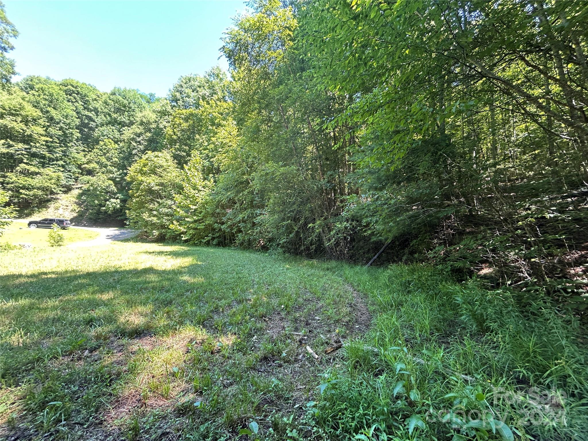 Lot 41 Glory Mountain Road, Unit 41 Bryson City, NC 28713 - Photo 7 of 13 a view of yard with green space