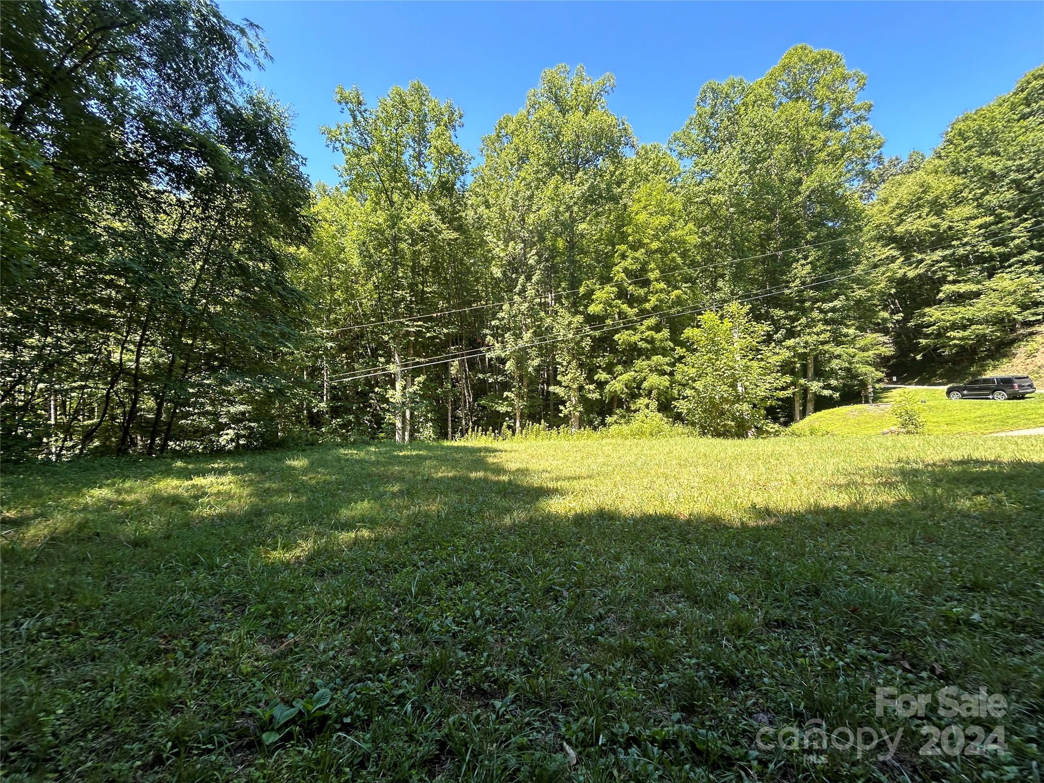 Lot 41 Glory Mountain Road, Unit 41 Bryson City, NC 28713 - Photo 8 of 13 a view of yard with green space