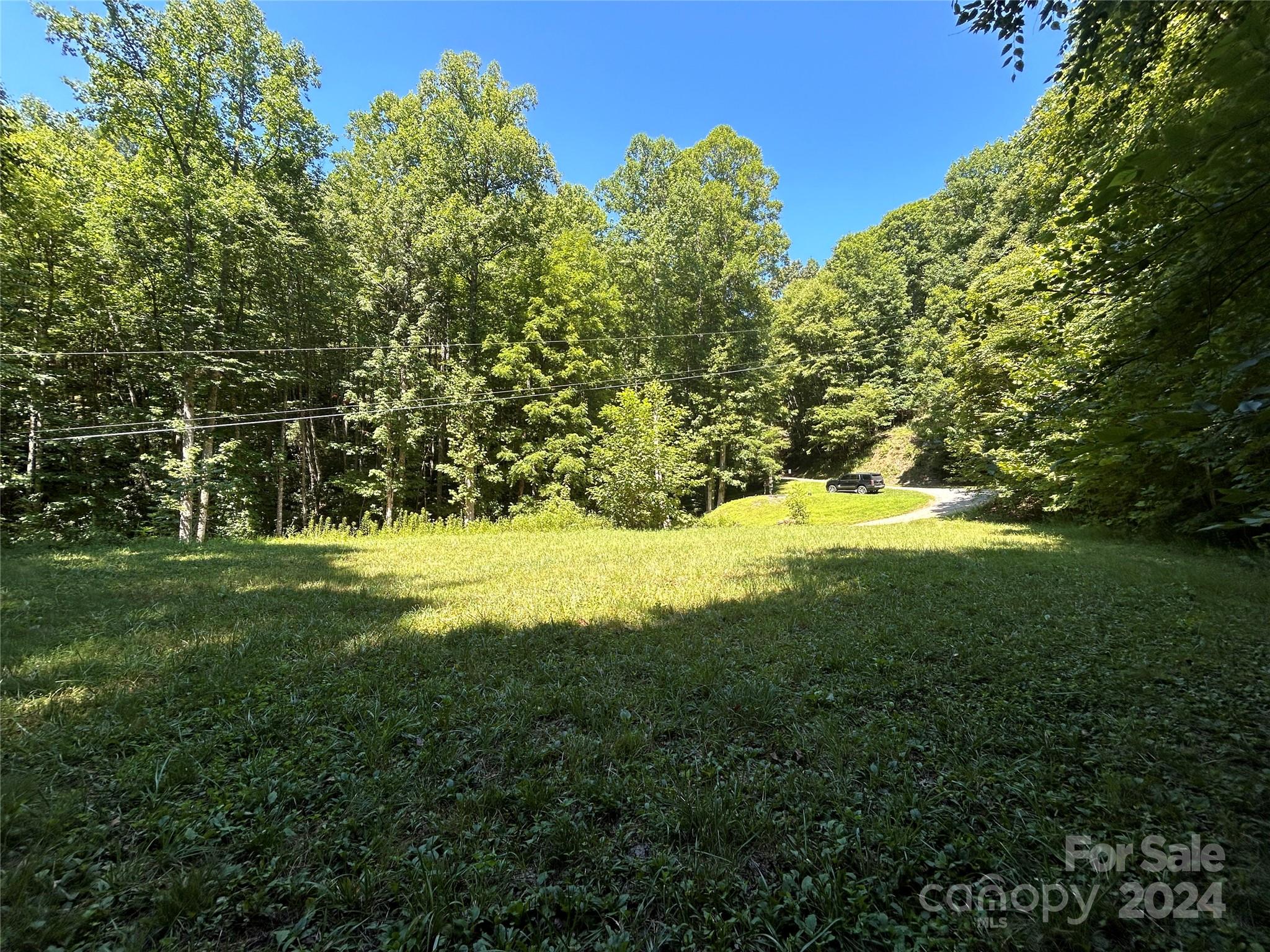 Lot 41 Glory Mountain Road, Unit 41 Bryson City, NC 28713 - Photo 9 of 13 a view of outdoor space and yard