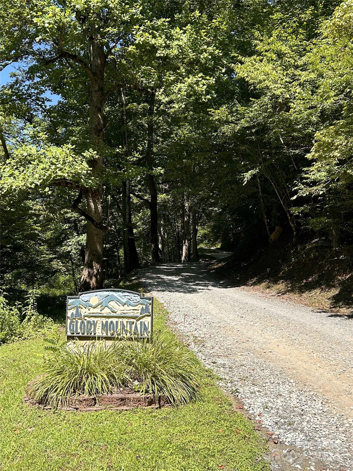Lot 41 Glory Mountain Road, Unit 41 Bryson City, NC 28713 - Photo 10 of 13 a view of yard