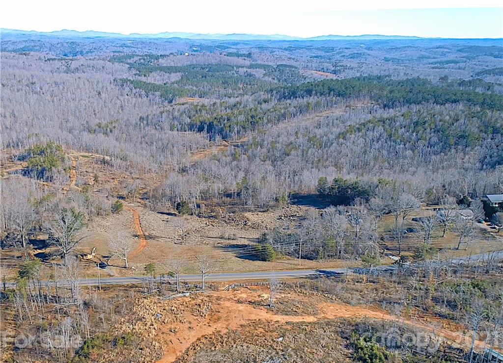 2463 Pea Ridge Road Mill Spring, NC 28756 - Photo 2 of 12 a view of a dry yard with trees