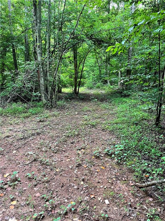 2463 Pea Ridge Road Mill Spring, NC 28756 - Photo 12 of 12 a view of a large yard with lots of green space