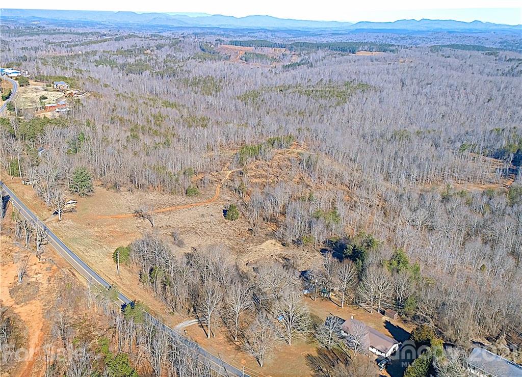 2463 Pea Ridge Road Mill Spring, NC 28756 - Photo 3 of 12 a view of a dry yard with trees