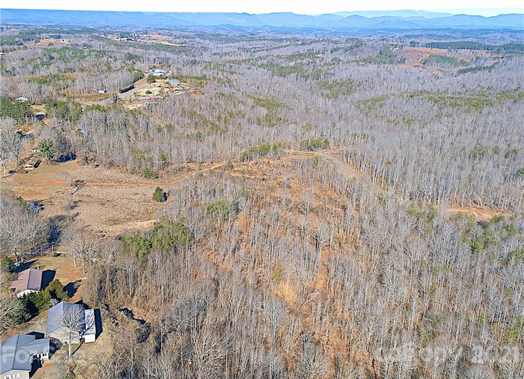 2463 Pea Ridge Road Mill Spring, NC 28756 - Photo 4 of 12 a view of a dry field with trees in background