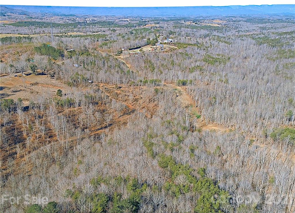 2463 Pea Ridge Road Mill Spring, NC 28756 - Photo 5 of 12 an aerial view of forest