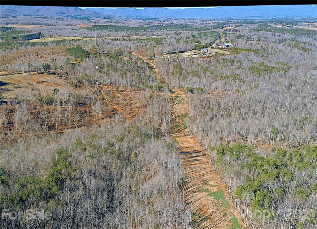 2463 Pea Ridge Road Mill Spring, NC 28756 - Photo 6 of 12 a view of city and mountain
