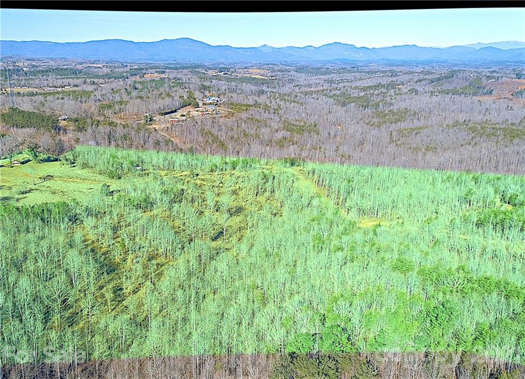 2463 Pea Ridge Road Mill Spring, NC 28756 - Photo 7 of 12 a view of city and mountain