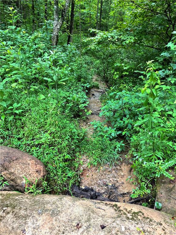 2463 Pea Ridge Road Mill Spring, NC 28756 - Photo 10 of 12 a view of a garden with plants