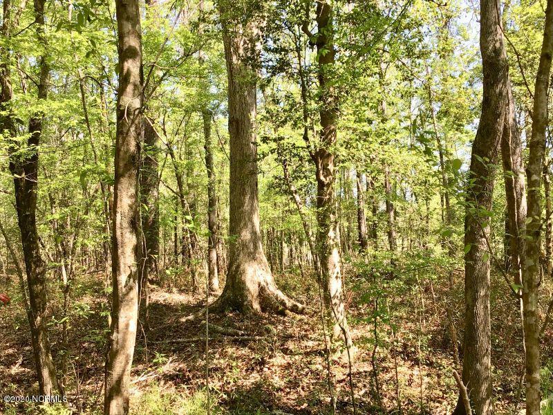 Off Cherrytree Road Northeast Winnabow, NC 28479 - Photo 3 of 22 Cat Tail 3