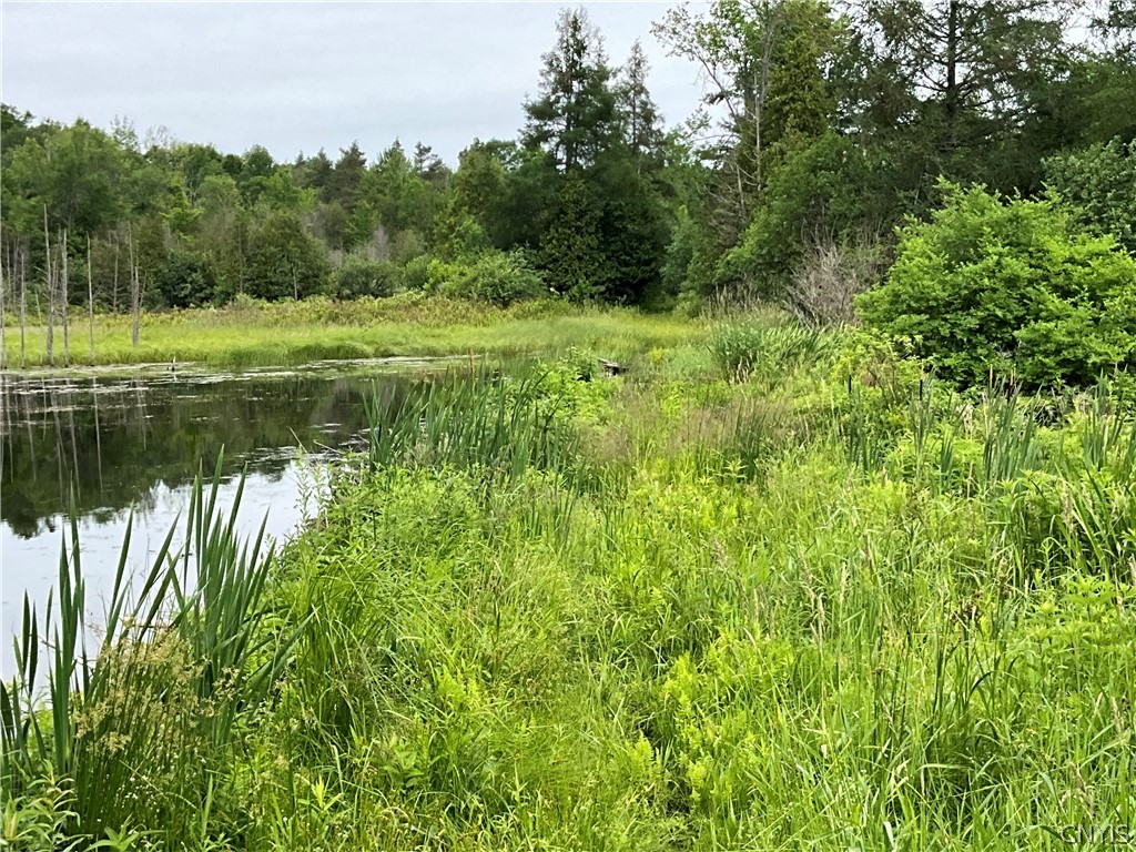 0 County Rte 35 Canton, NY 13617 - Photo 14 of 33