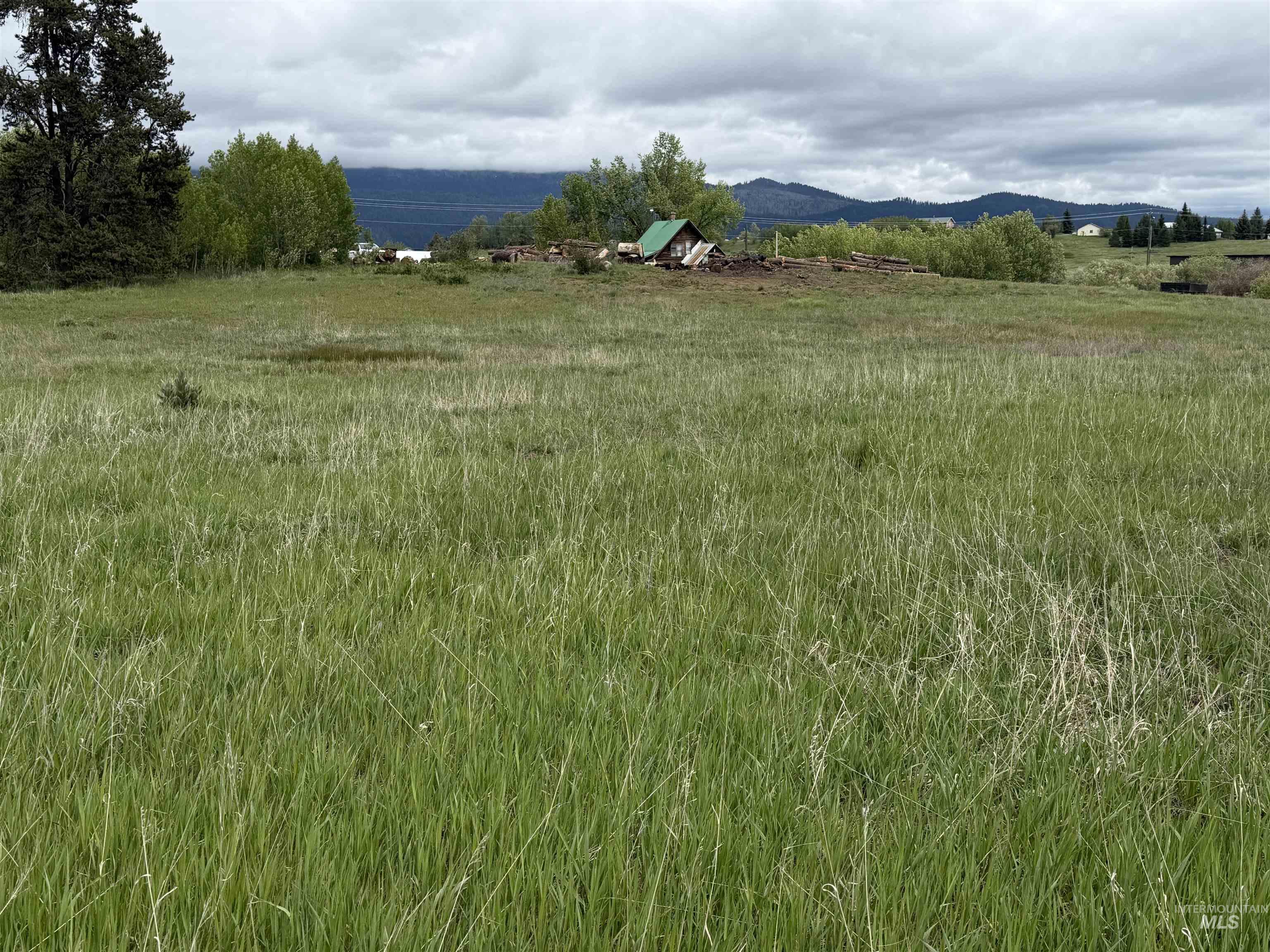 14031 Highway 55 McCall, ID 83638 - Photo 3 of 8
