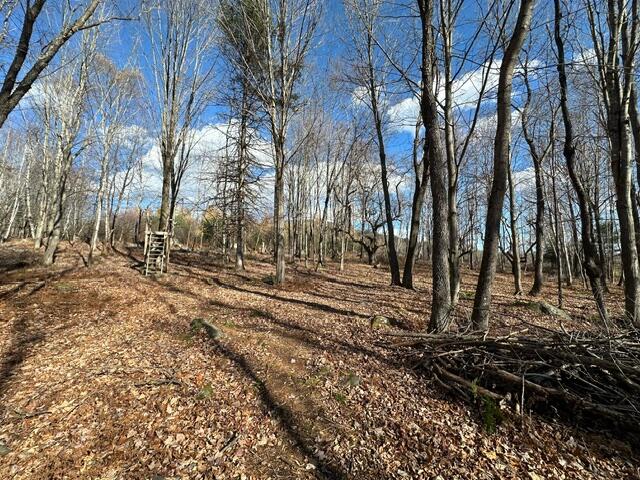801 Bog Road Kingfield, ME 04947 - Photo 19 of 37 image11