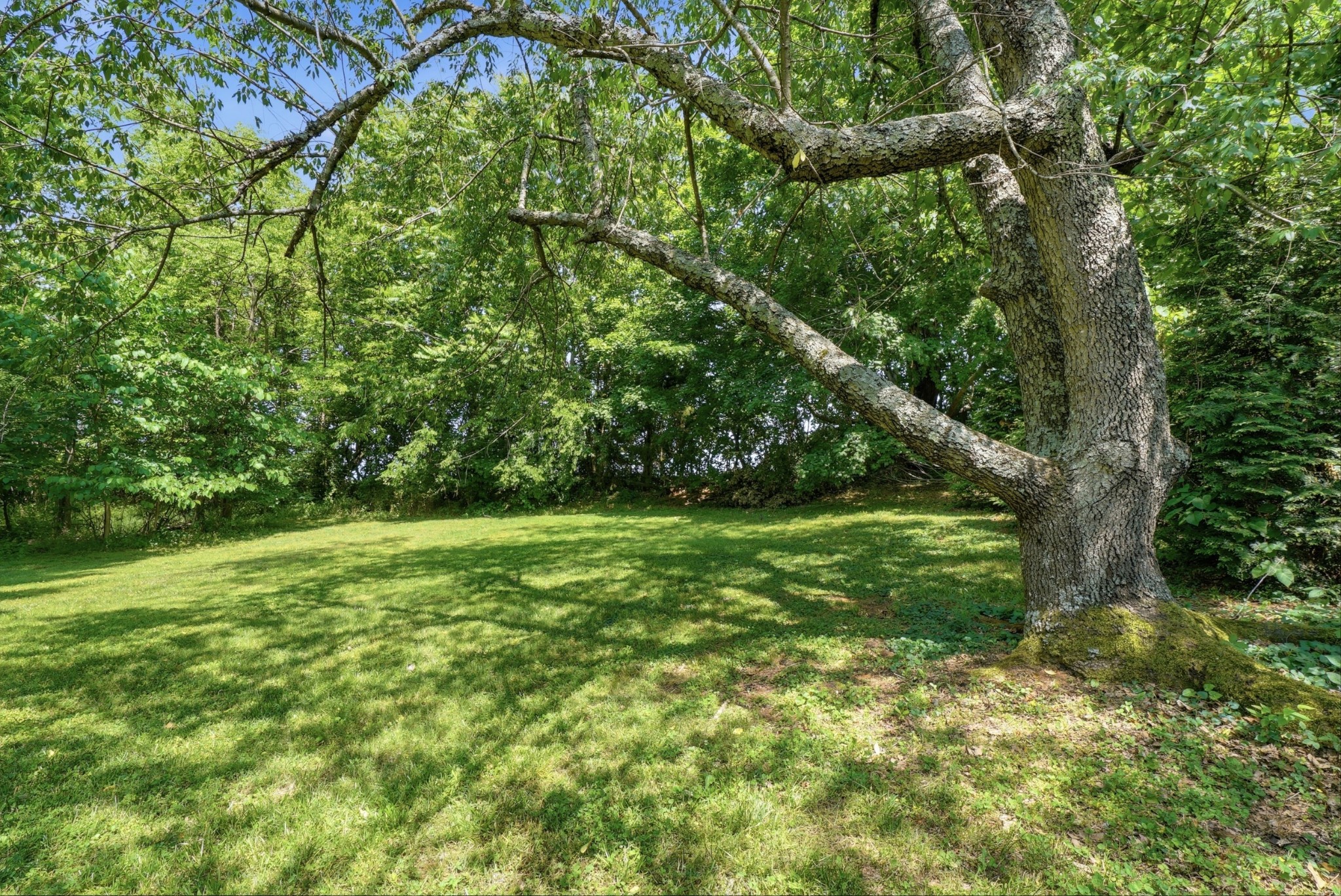 6471 Highway 161 Springfield, TN 37172 - Photo 48 of 57 a view of outdoor space with deck and yard