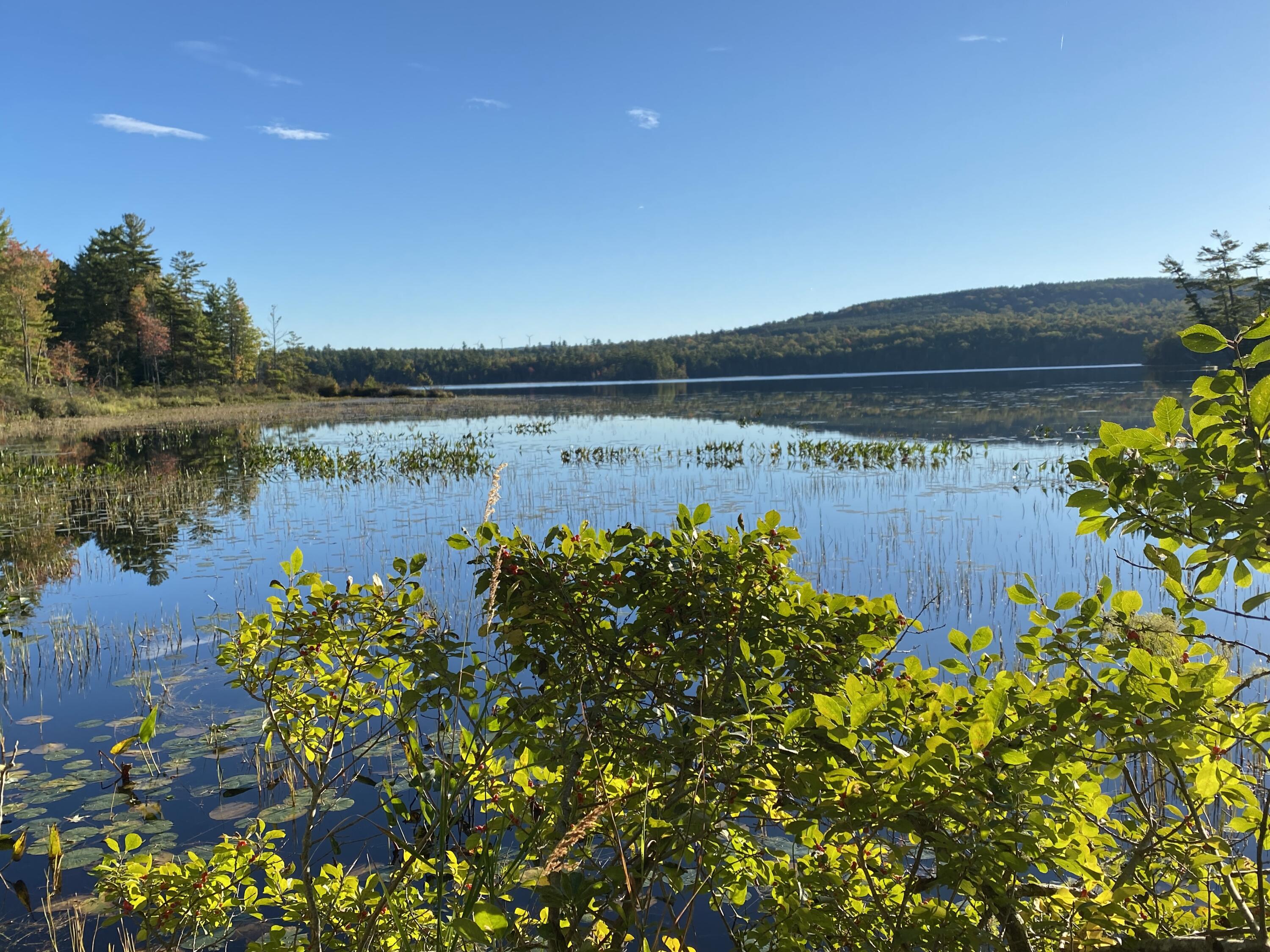 Photo Sep 25 2022, 7 42 04 AM