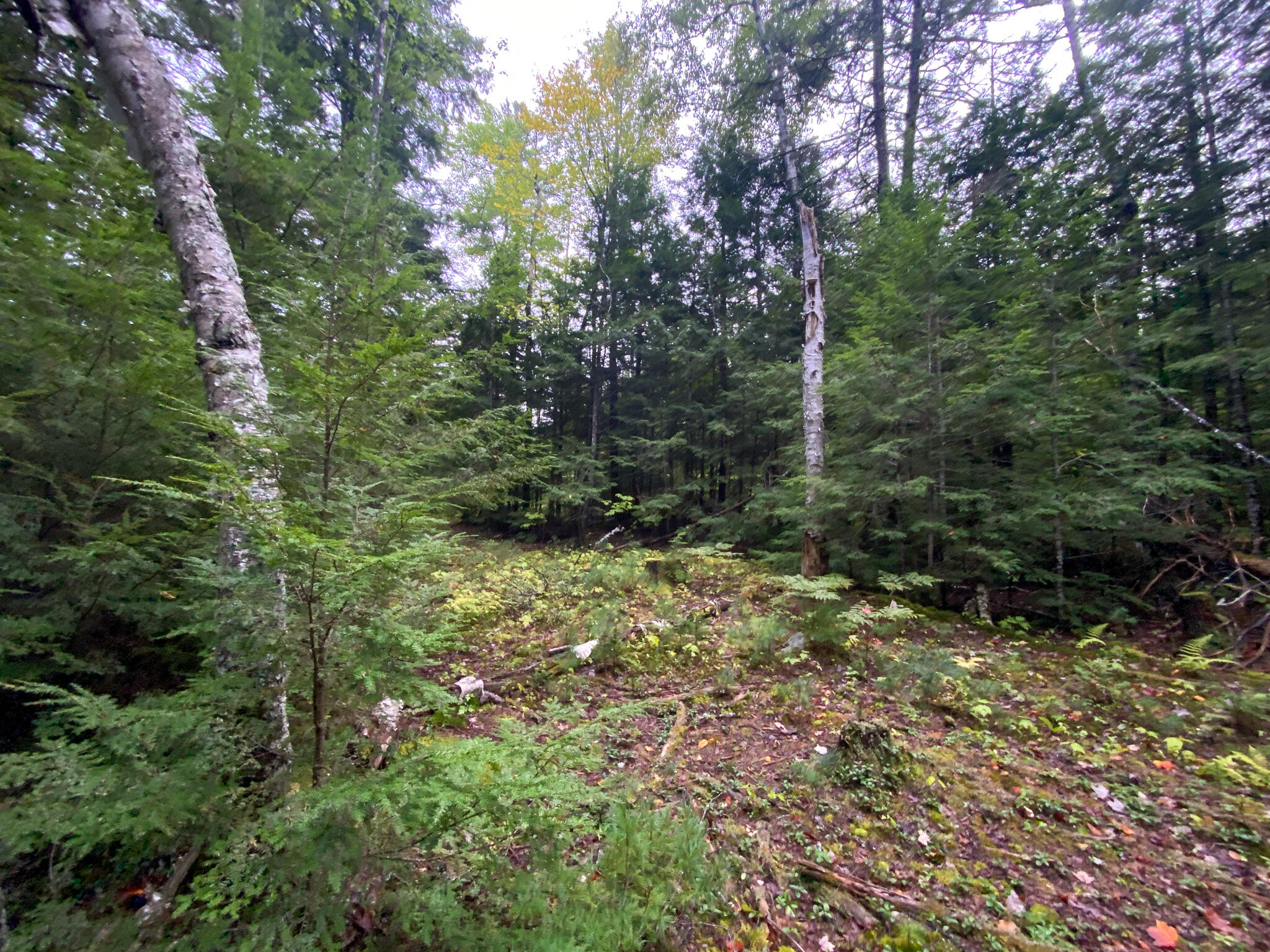 0 Ski Trail Road Lincoln, ME 04457 - Photo 11 of 20 Photo Sep 21, 7 35 04 AM