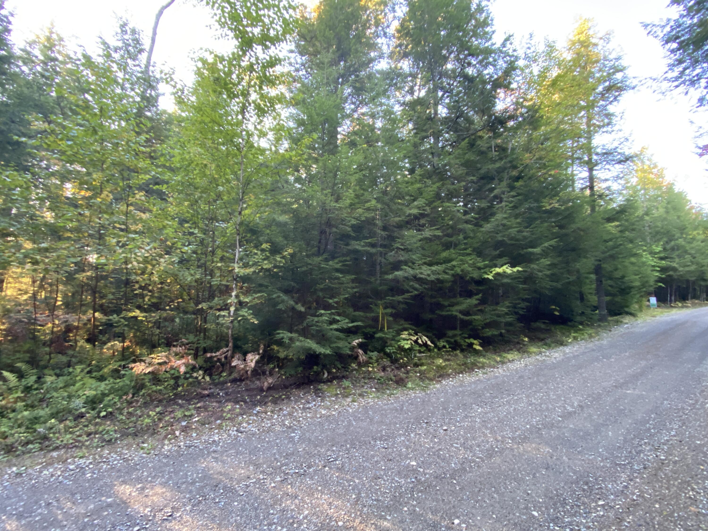 0 Ski Trail Road Lincoln, ME 04457 - Photo 16 of 20 Photo Sep 25 2022, 7 13 35 AM