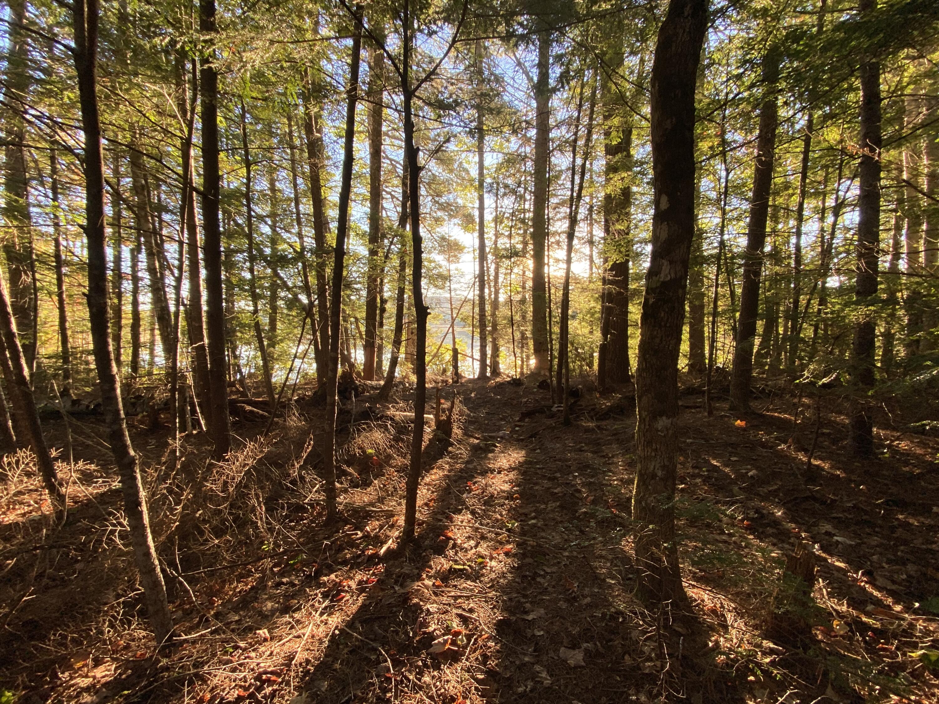 0 Ski Trail Road Lincoln, ME 04457 - Photo 19 of 20 Photo Sep 25 2022, 7 15 05 AM