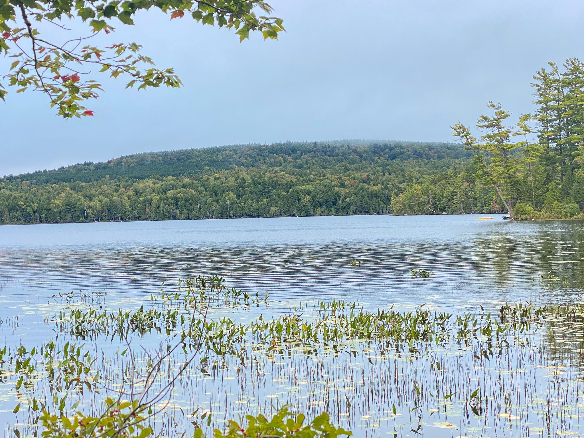 0 Ski Trail Road Lincoln, ME 04457 - Photo 2 of 20 Photo Sep 21, 7 31 43 AM