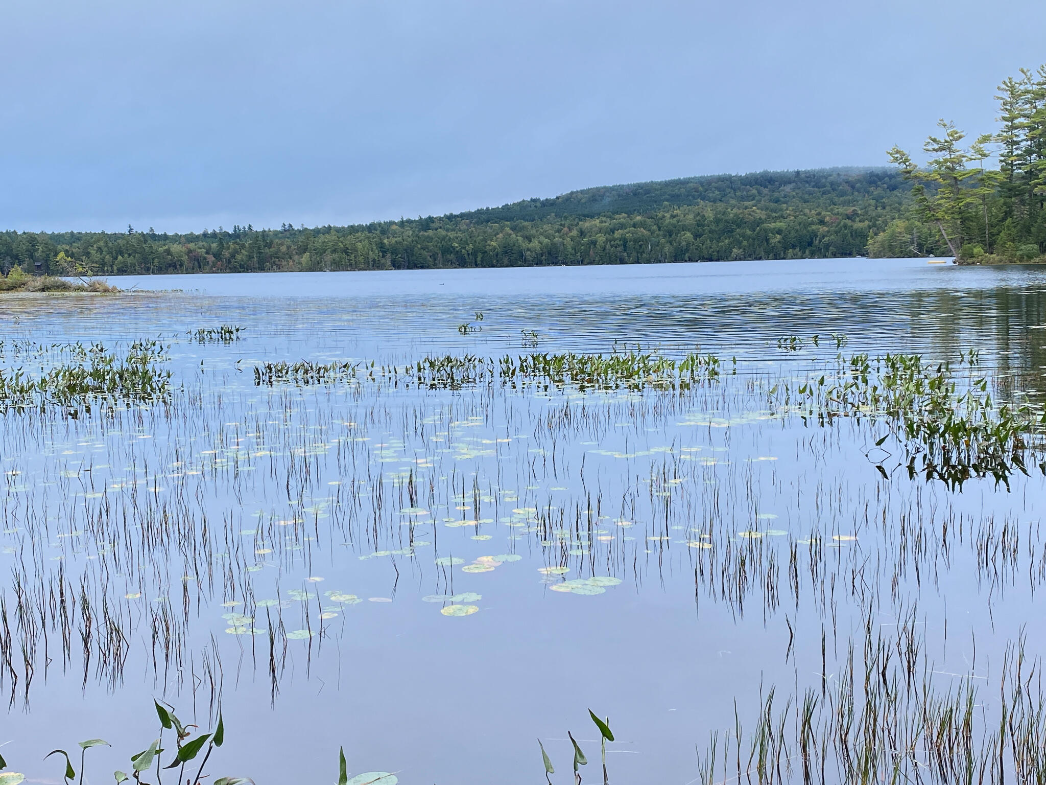 0 Ski Trail Road Lincoln, ME 04457 - Photo 3 of 20 Photo Sep 21, 7 32 43 AM