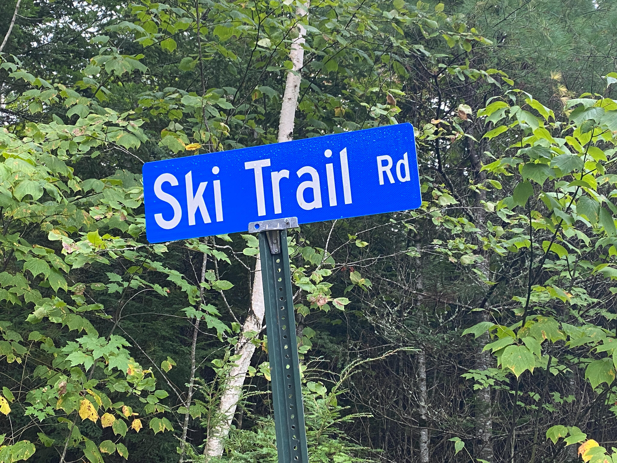 0 Ski Trail Road Lincoln, ME 04457 - Photo 4 of 20 Photo Sep 21, 7 26 01 AM