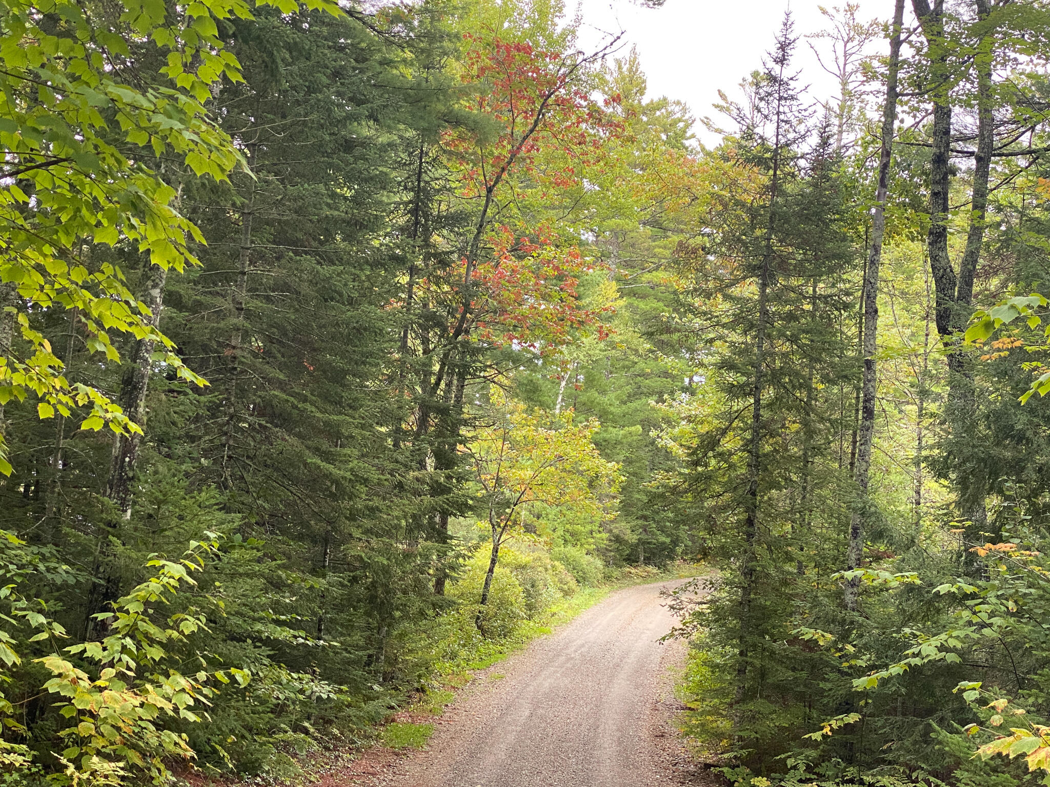 0 Ski Trail Road Lincoln, ME 04457 - Photo 5 of 20 Photo Sep 21, 7 26 45 AM