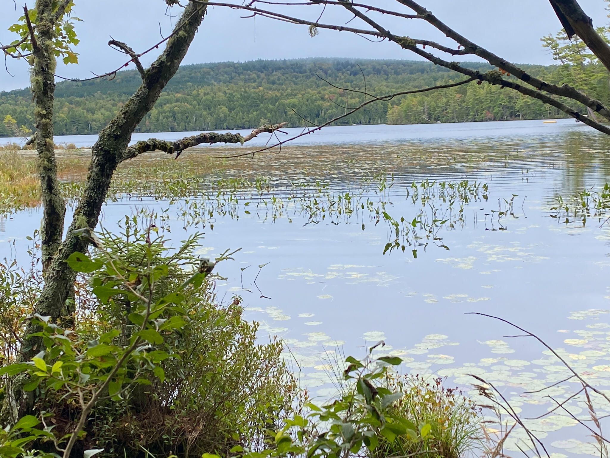 0 Ski Trail Road Lincoln, ME 04457 - Photo 7 of 20 Photo Sep 21, 7 30 17 AM