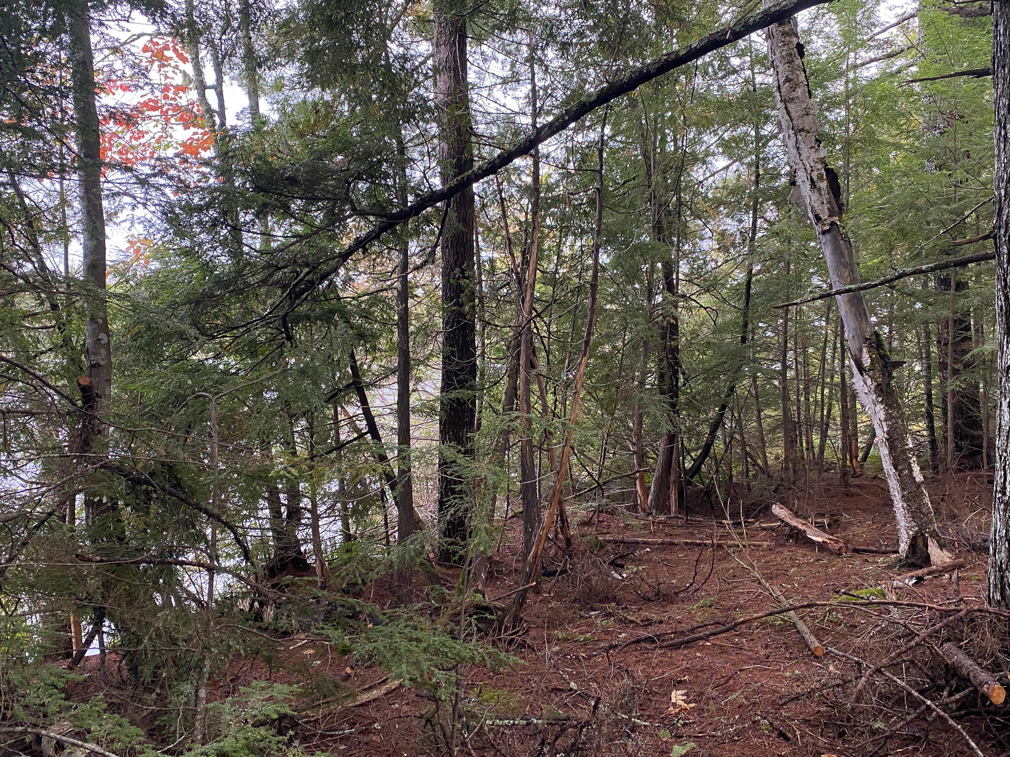 0 Ski Trail Road Lincoln, ME 04457 - Photo 9 of 20 Photo Sep 21, 7 32 05 AM