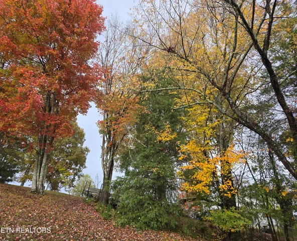 $250,000 | 200 Sunset Lane, Harriman, TN 37748