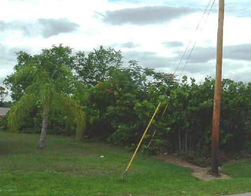 392 Southwest Cherryhill Road Port St. Lucie, FL 34953 - Photo 9 of 9 Additional Photo