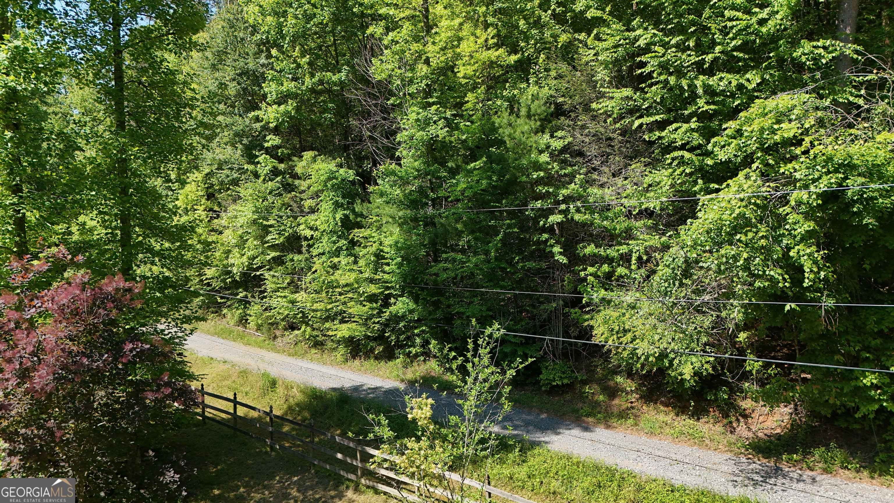 0 Gold Springs Road Ellijay, GA 30540 - Photo 11 of 13