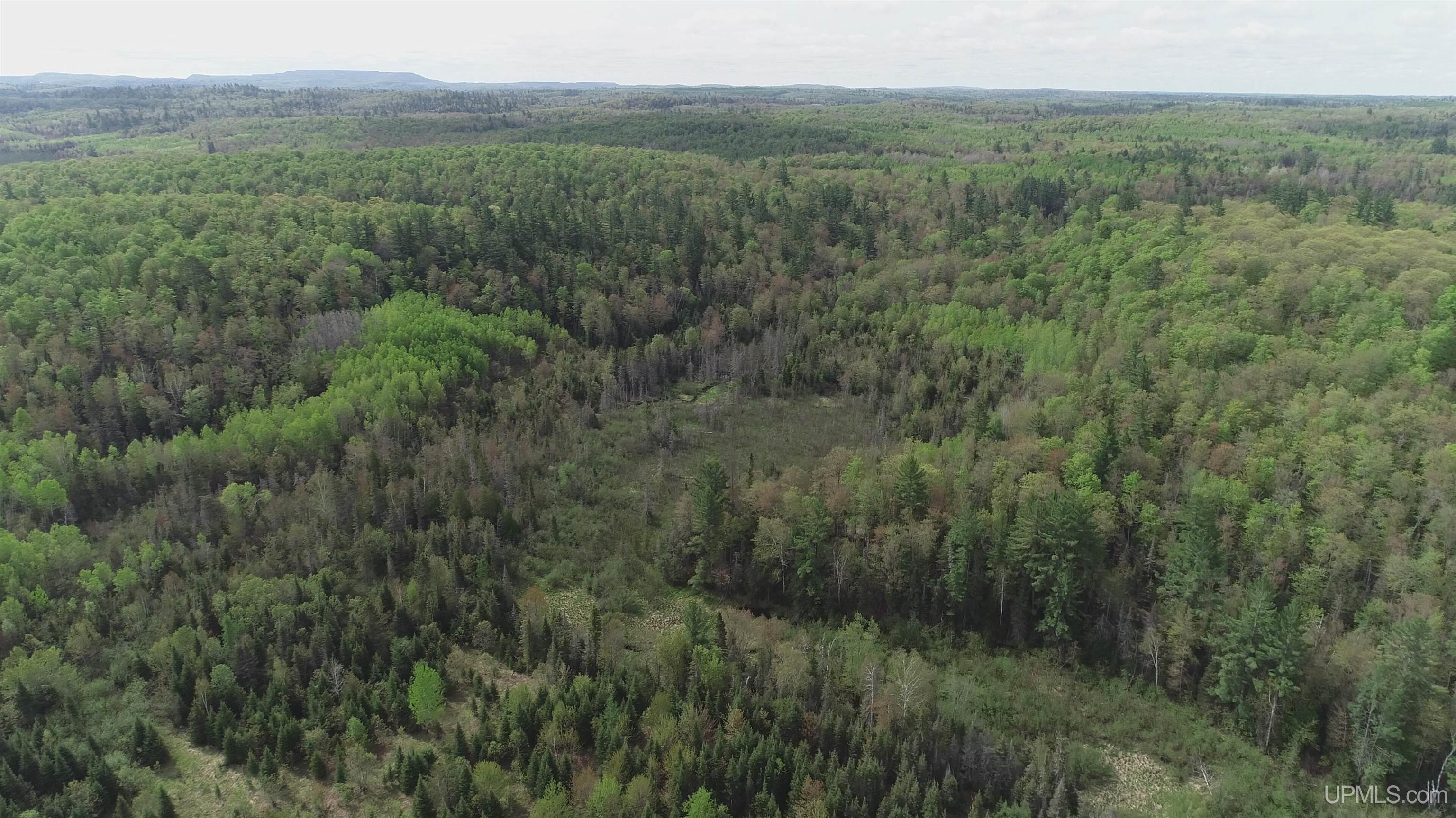 280-acres County Road CCN Road Negaunee, MI 49866 - Photo 11 of 48