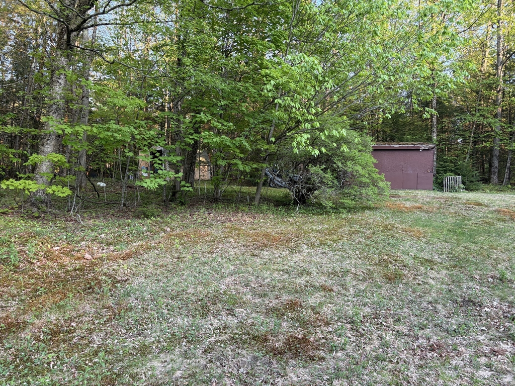 11 South Chesterfield Road Goshen, MA 01096 - Photo 28 of 30 a backyard of a house with lots of green space