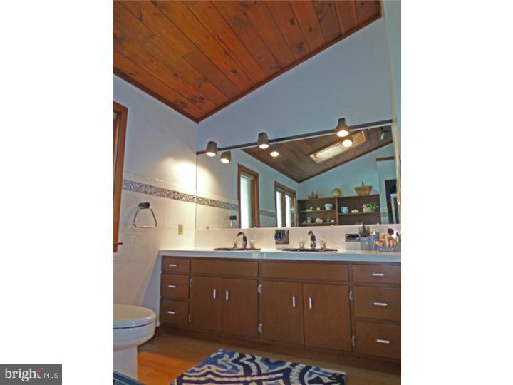 167 Mail Rte Road Sinking Spring, PA 19608 - Photo 20 of 25 Master Bathroom
