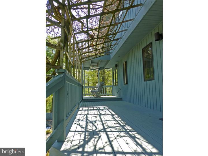167 Mail Rte Road Sinking Spring, PA 19608 - Photo 6 of 25 Exterior Back