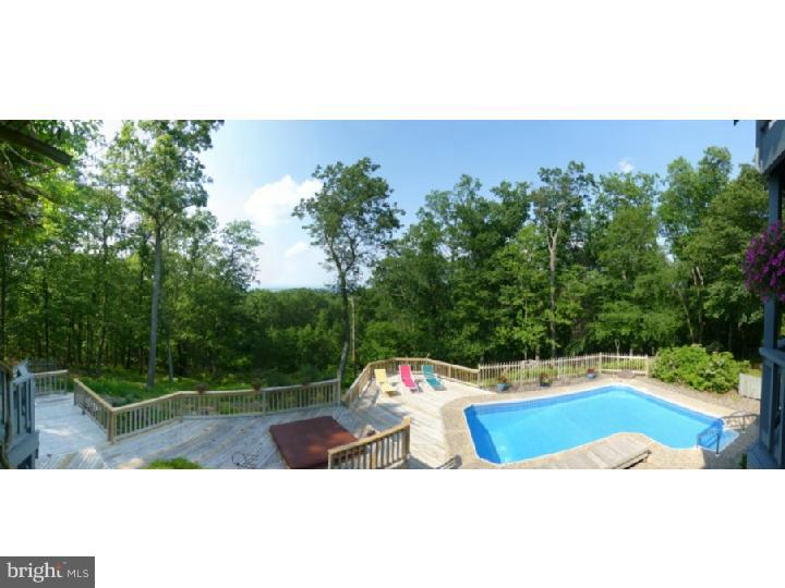 167 Mail Rte Road Sinking Spring, PA 19608 - Photo 8 of 25 Pool