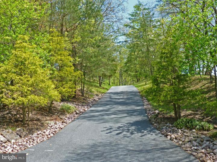 167 Mail Rte Road Sinking Spring, PA 19608 - Photo 10 of 25 Driveway