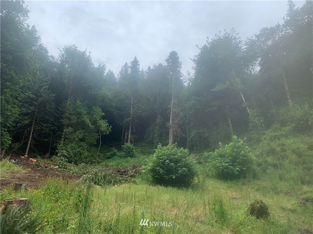 4-xxx East Quilcene Road Quilcene, WA 98376 - Photo 1 of 1 Gallery Image 1