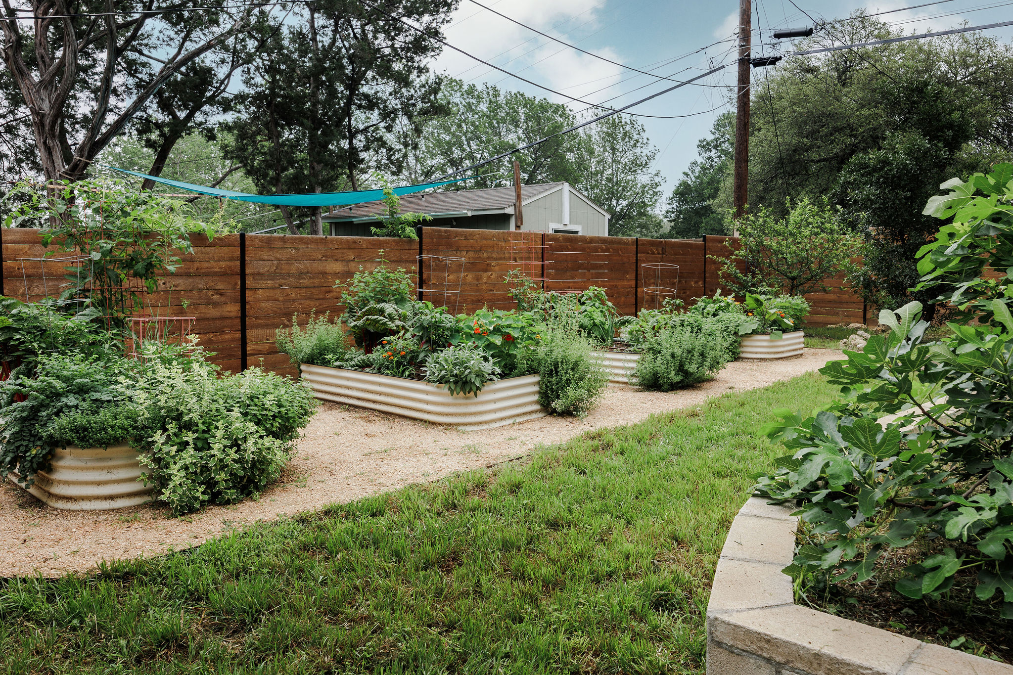 5203 Buffalo Pass Austin, TX 78745 - Photo 36 of 38 a view of a backyard