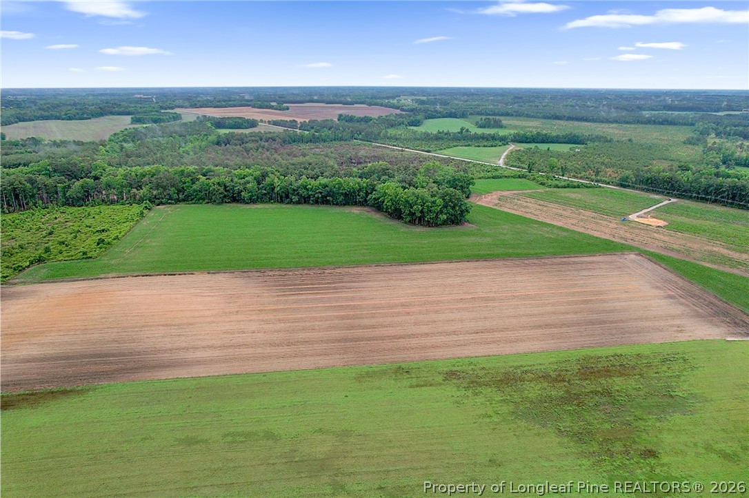 Lot 8 Buie - Philadelphus Road Red Springs, NC 28377 - Photo 10 of 12 a view of a big yard with potted plants