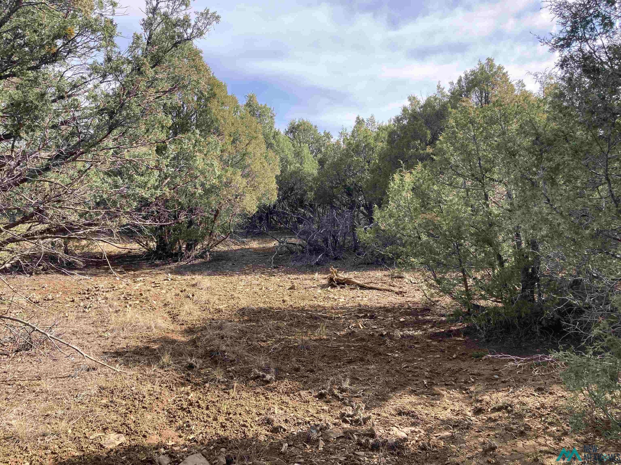1 Cr 341 Road Chama, NM 87520 - Photo 15 of 17 Gallery Image 15