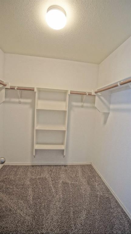 12005 Arbor Lake Road Rhome, TX 76078 - Photo 14 of 22 Spacious closet with carpet floors