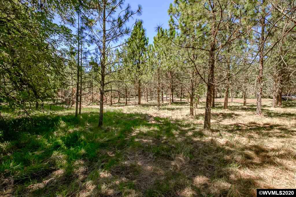 37891 Hungry Hill Road Scio, OR 97374 - Photo 19 of 38