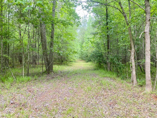 0 Pete Johnson Road Tignall, GA 30668 - Photo 21 of 43