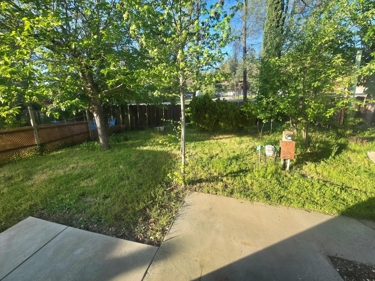 450 Gladycon Road, Unit 3 Colfax, CA 95713 - Photo 23 of 27 a backyard of a house with lots of green space