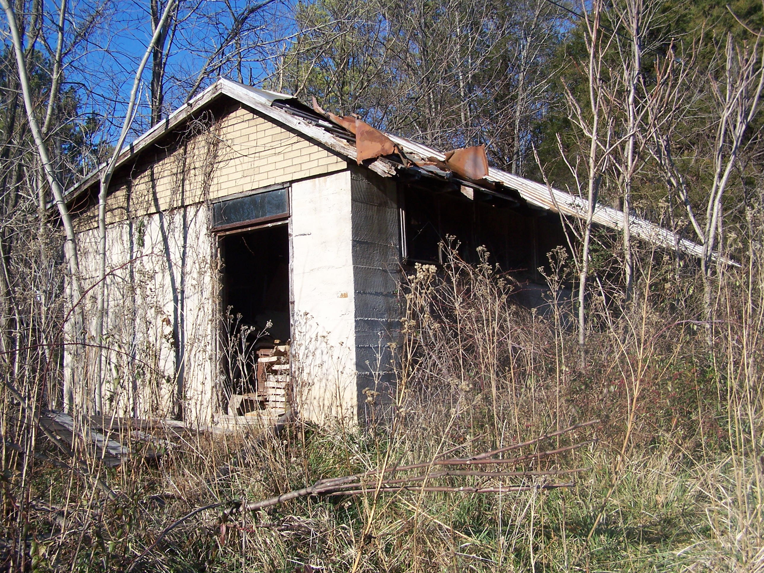 10335 Botetourt Road Eagle Rock, VA 24085 - Photo 4 of 5 100_9808